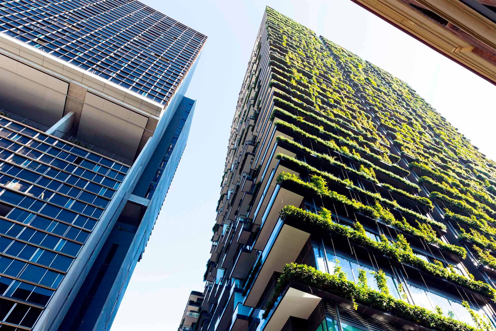 Vista de dos edificis alts, un cobert de plantes.