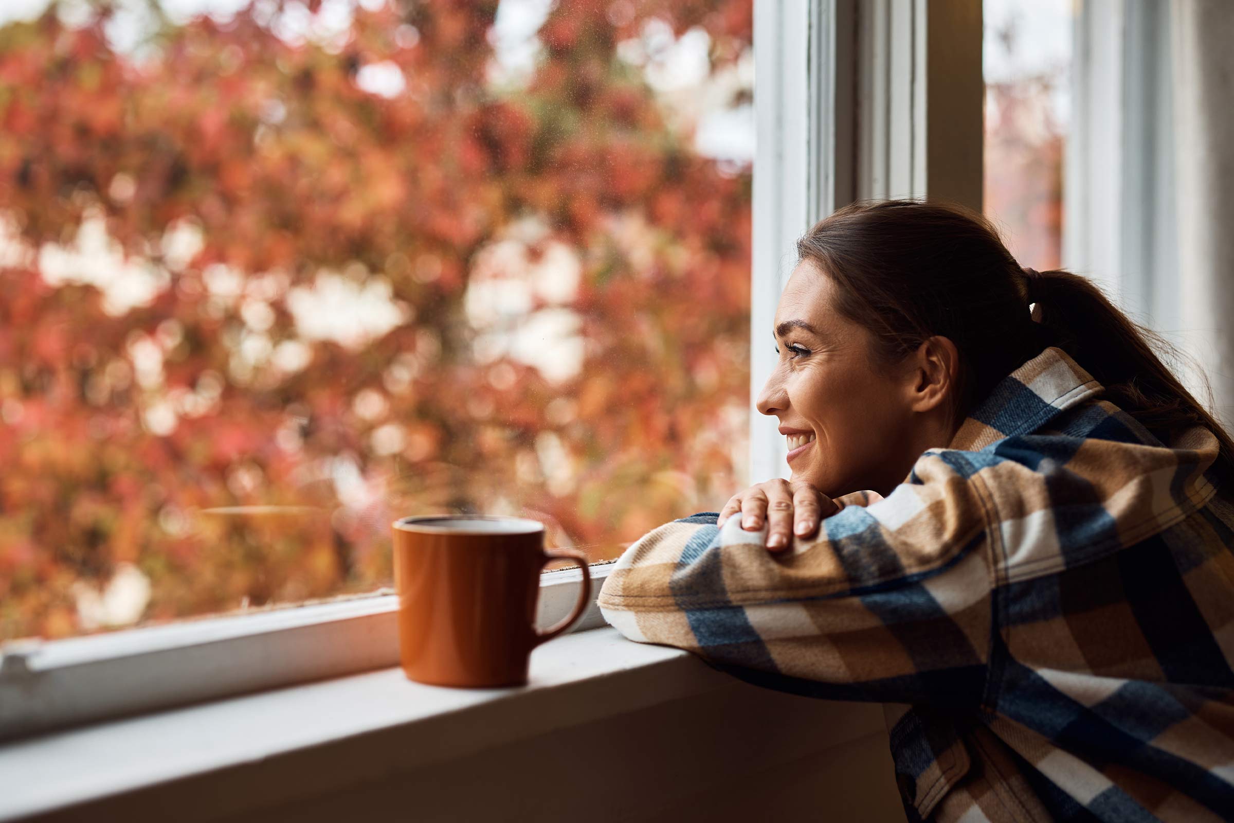 Il·lustració de campanya