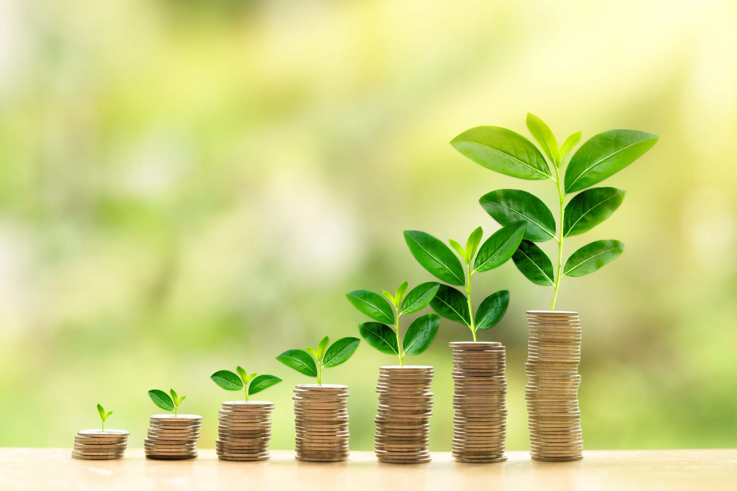 https://www.bbva.es/content/dam/public-web/bbvaes/images/finanzas-vistazo/ef/finanzas-personales/2400x1600/energia/2400x1600-prestamo-verde.jpg