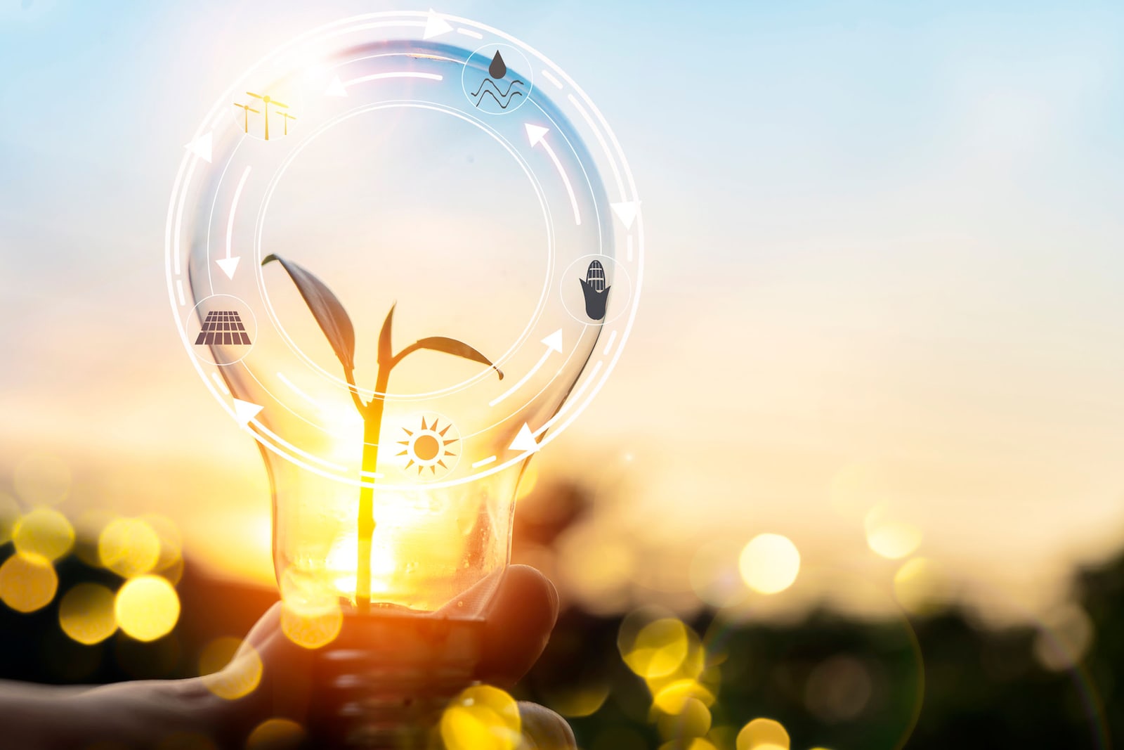 sistemas de iluminacion eficiente