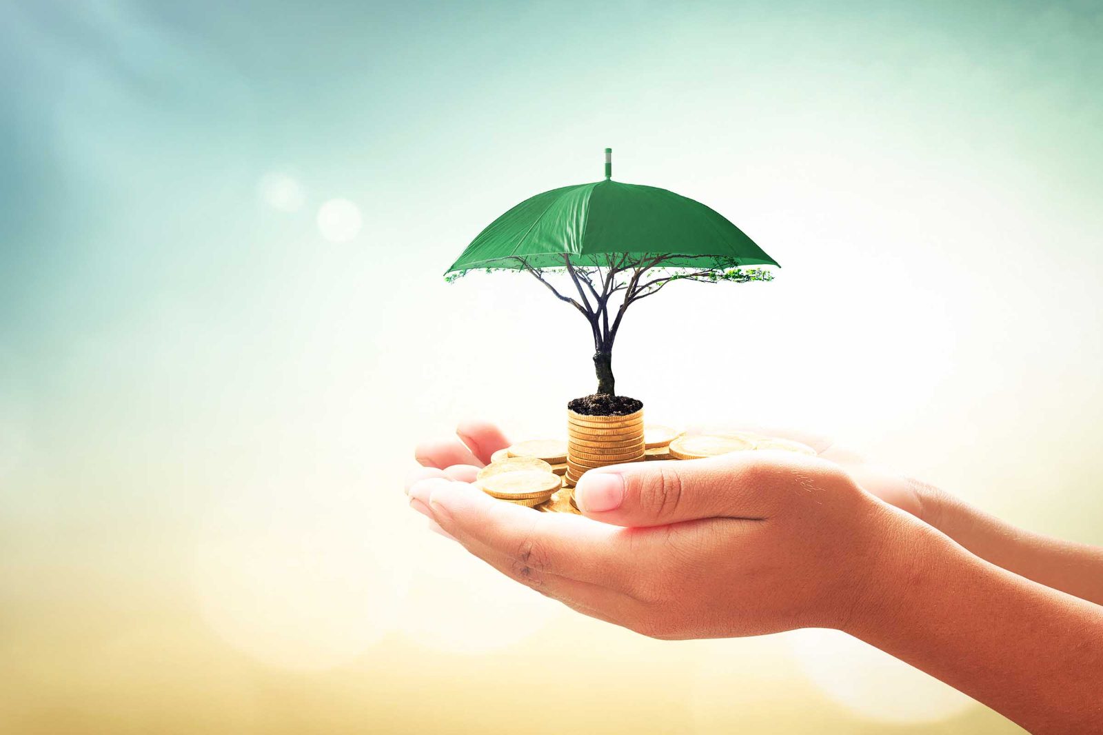 экологическое страхование картинки для презентации. мировые деньги. Life insurance. финансы и жизнь. финансы и жизнь.