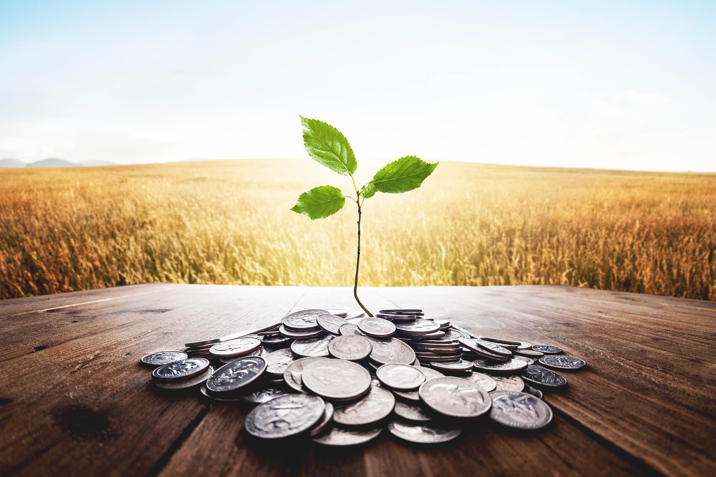 inversion financieramente sostenible
