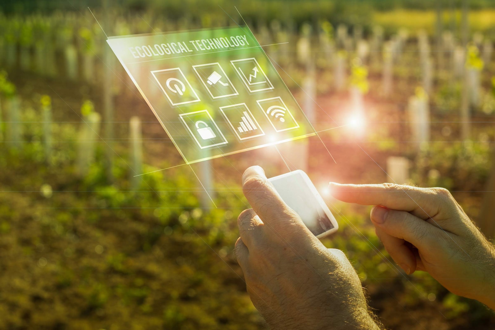 La digitalización y la eficiencia energética, claves para el futuro del sector agrícola