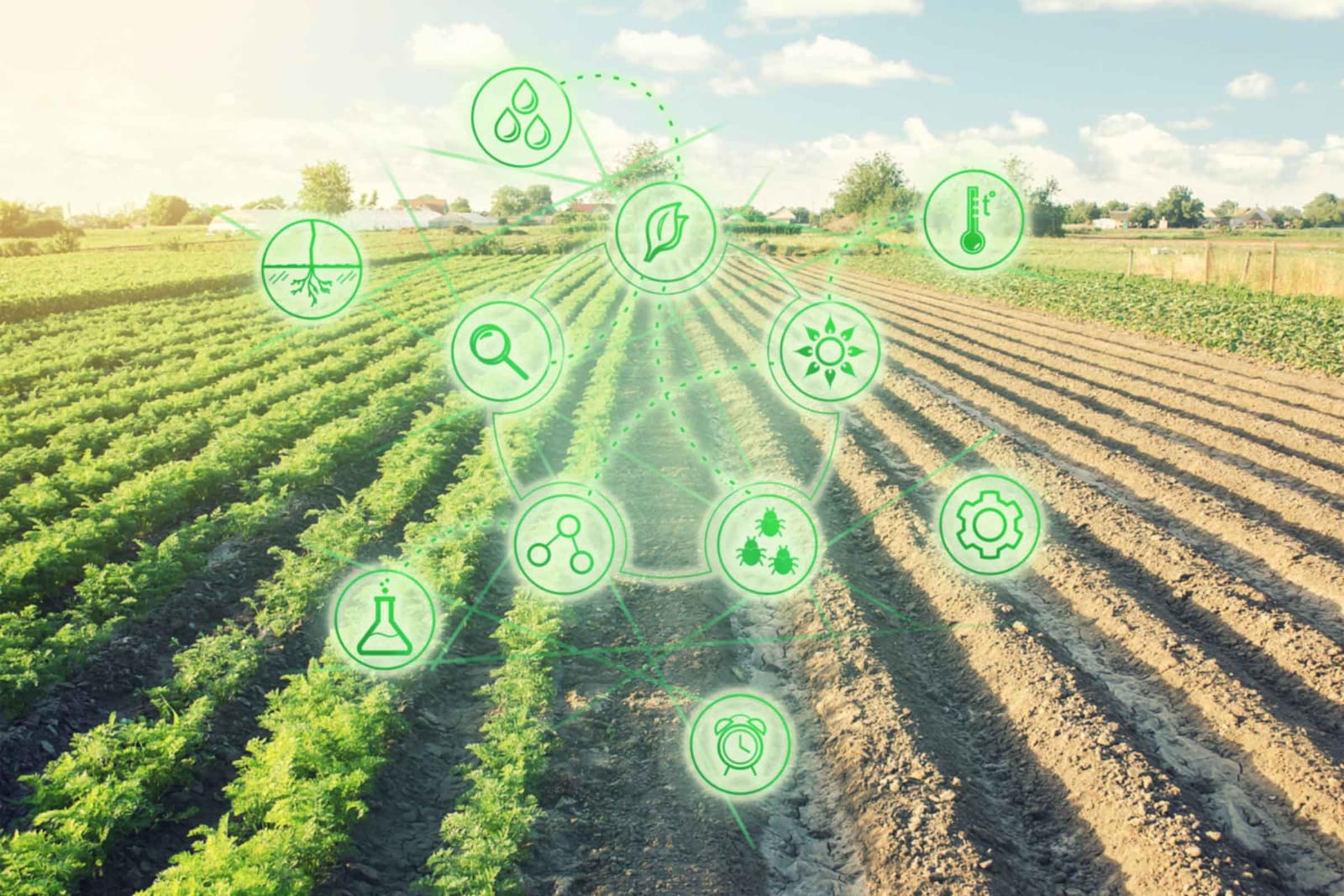 digitalización entorno rural