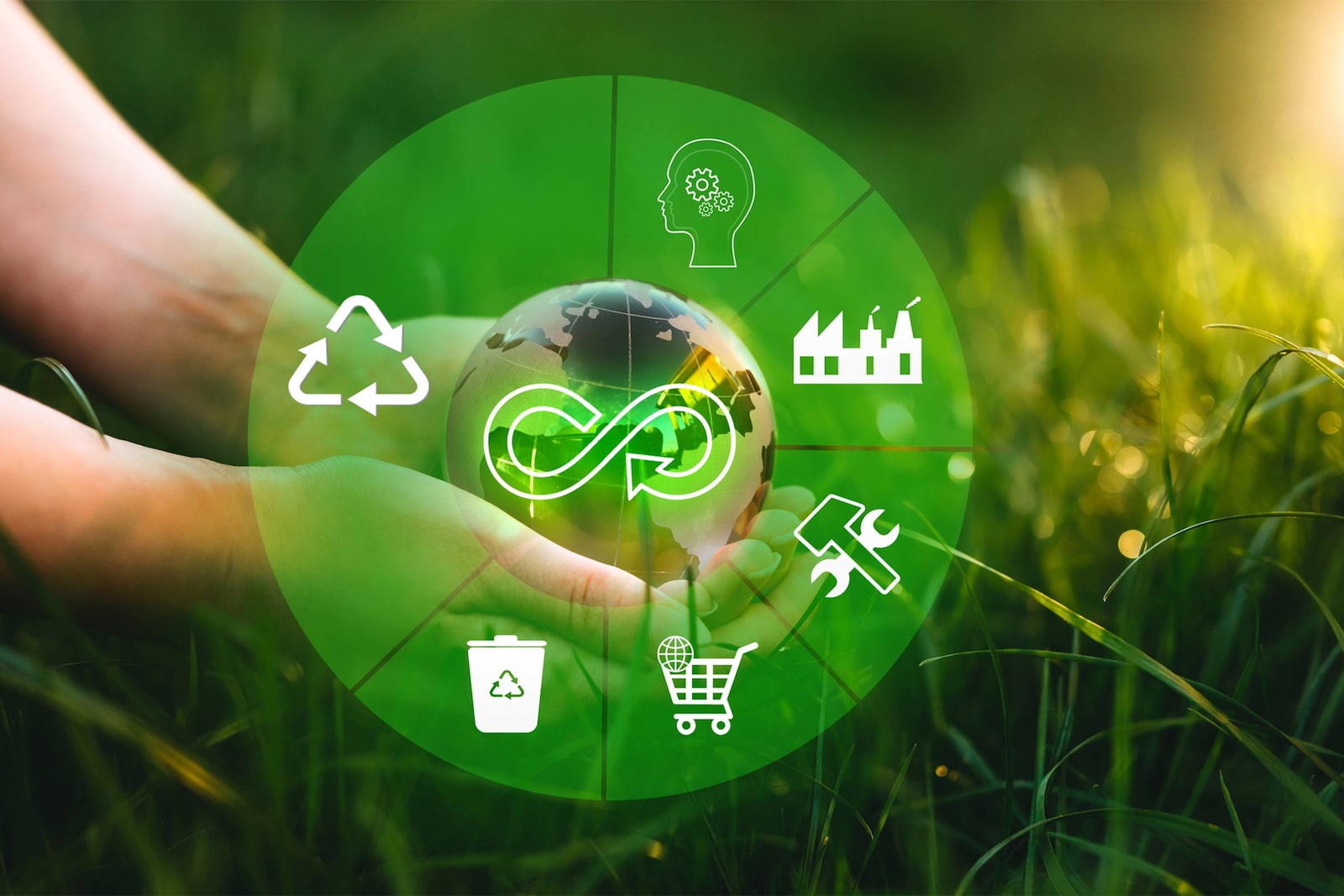 La sostenibilidad y la economía circular, las claves que marcarán el futuro de las empresas