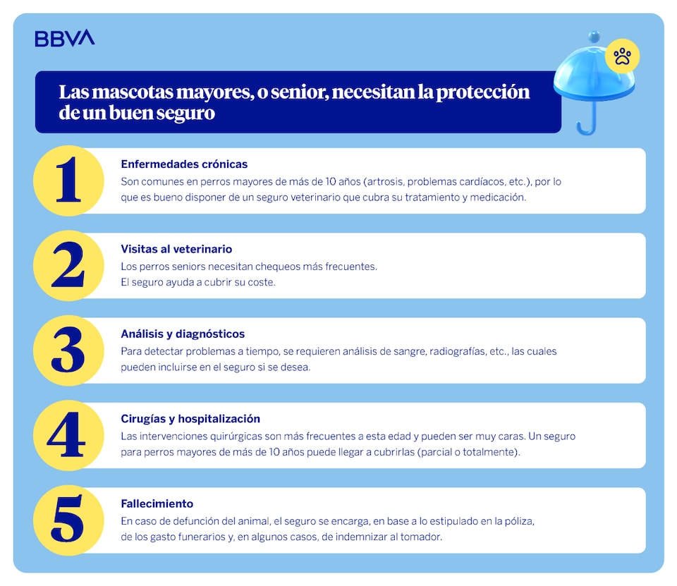 seguro para perros mayores de 10 años