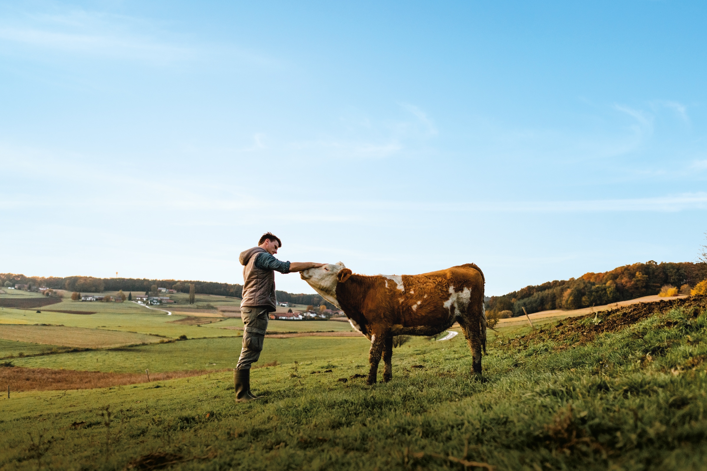 Agricultural holding