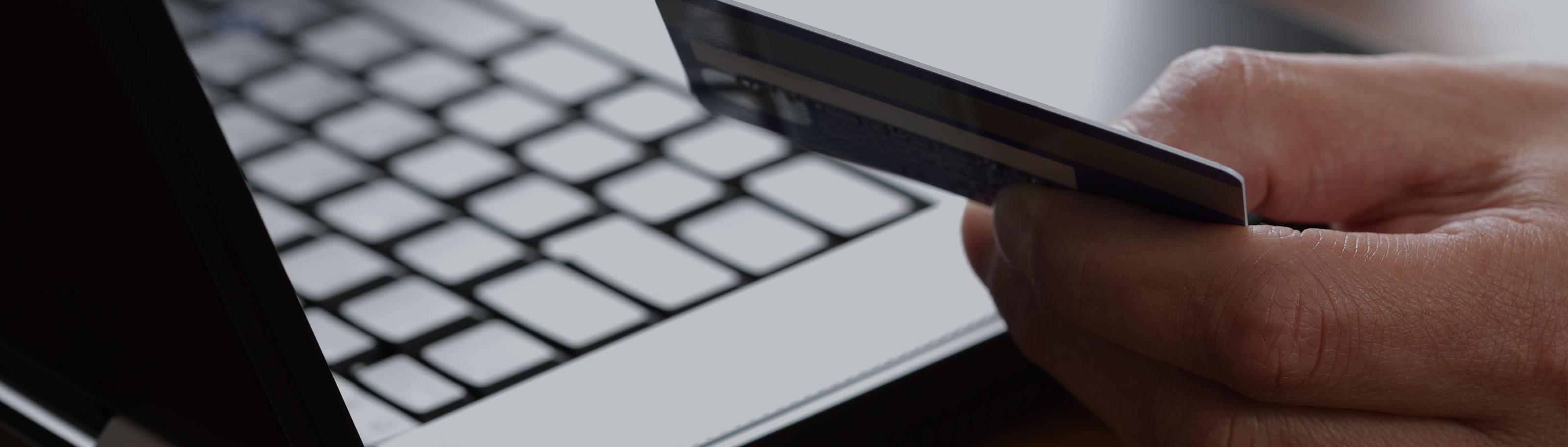 Virtual POS Terminal | BBVA