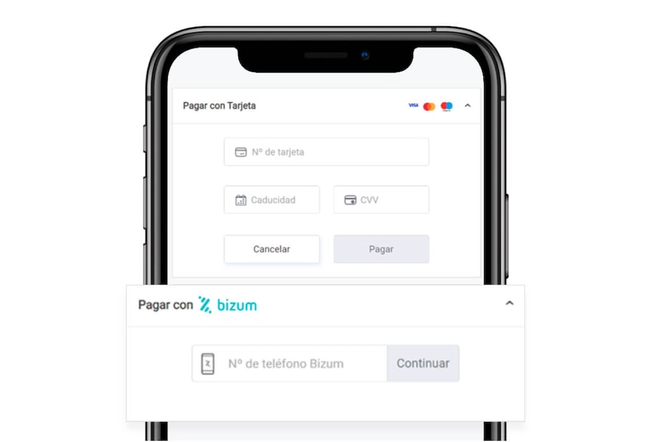 Illustration: How to take payment with Bizum for companies