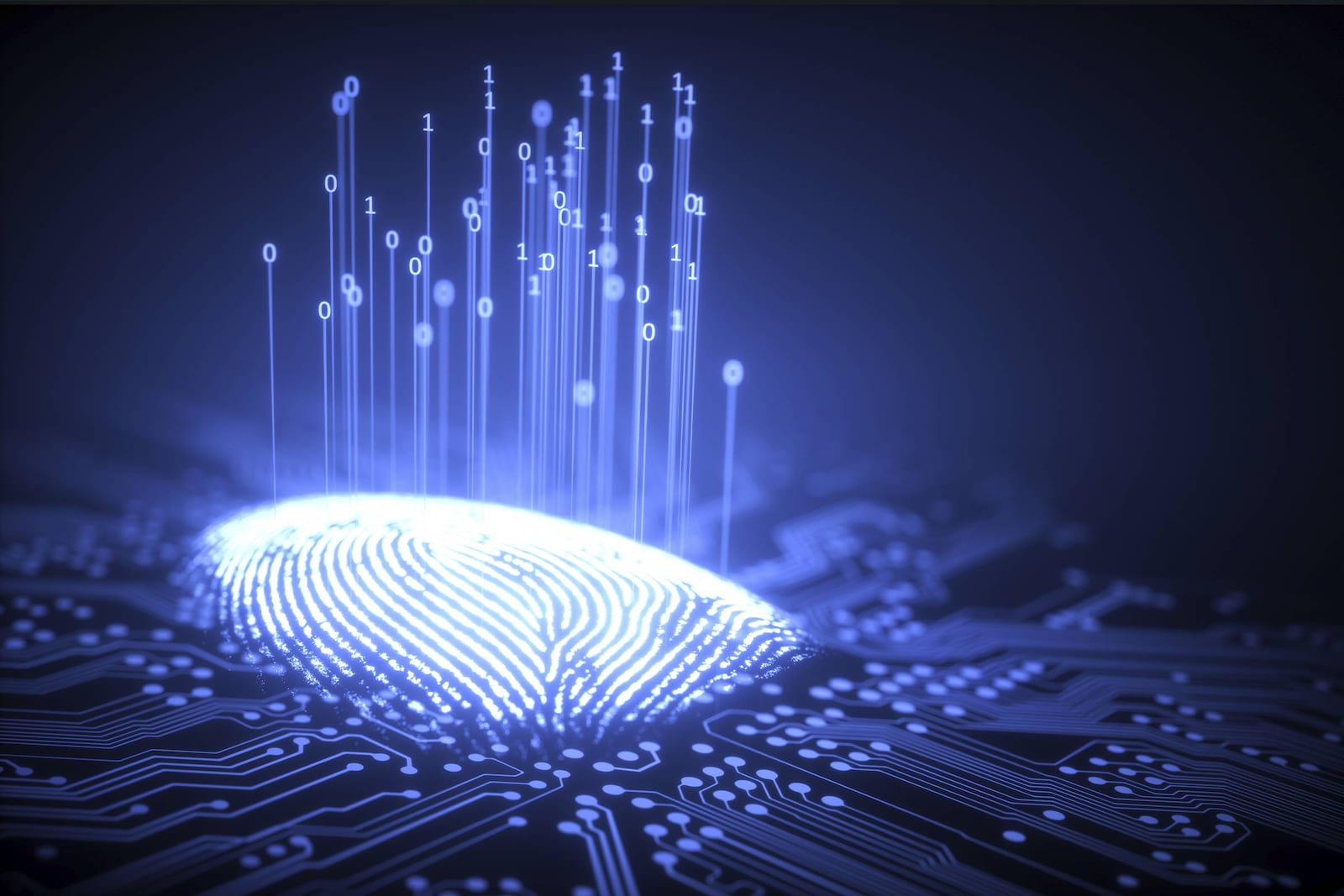 dudas biometria