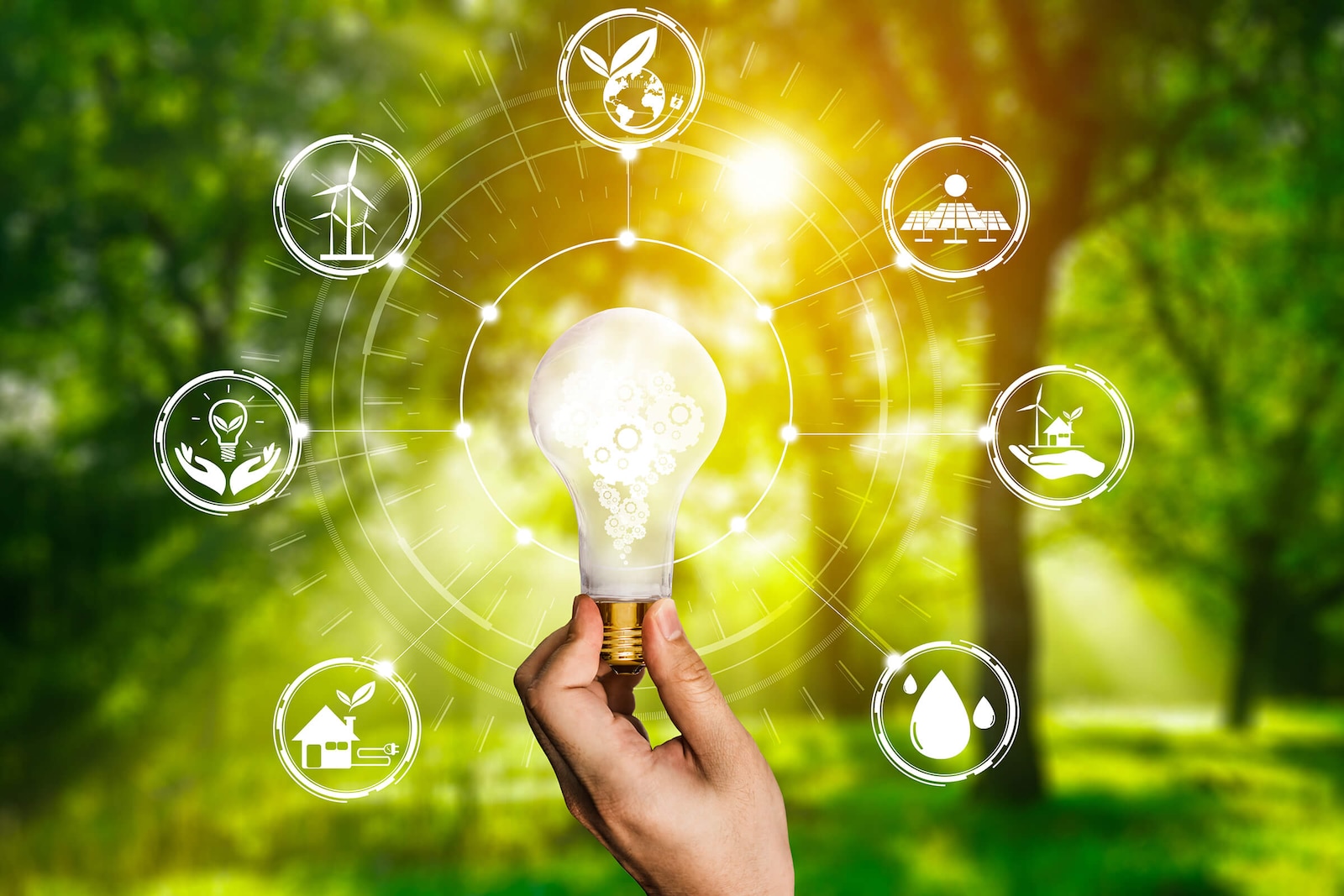 investing in sustainability