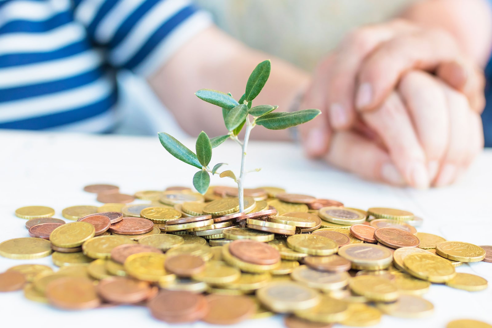 Image of a stem rising from a pile of coins