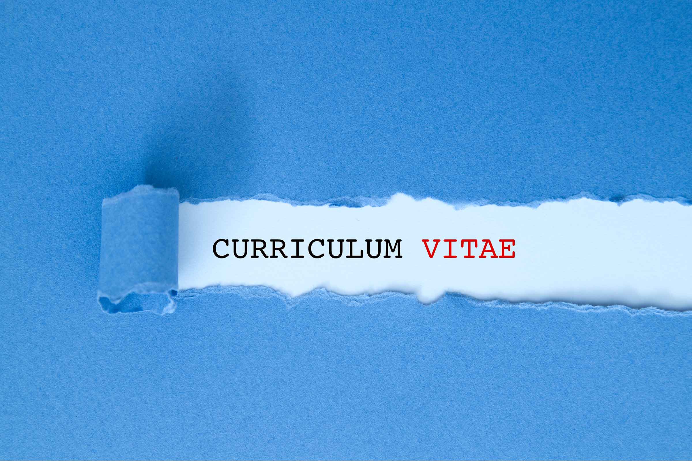 que buscan las empresas en un cv