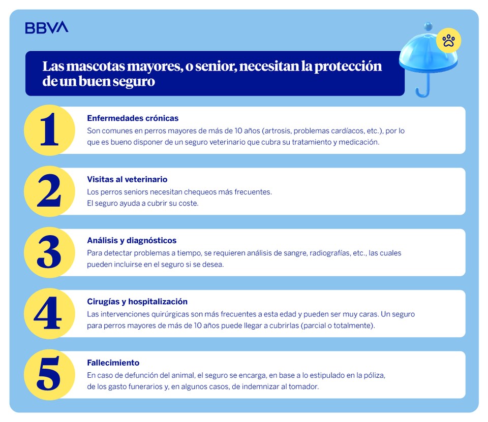 seguro para perros mayores de 10 años