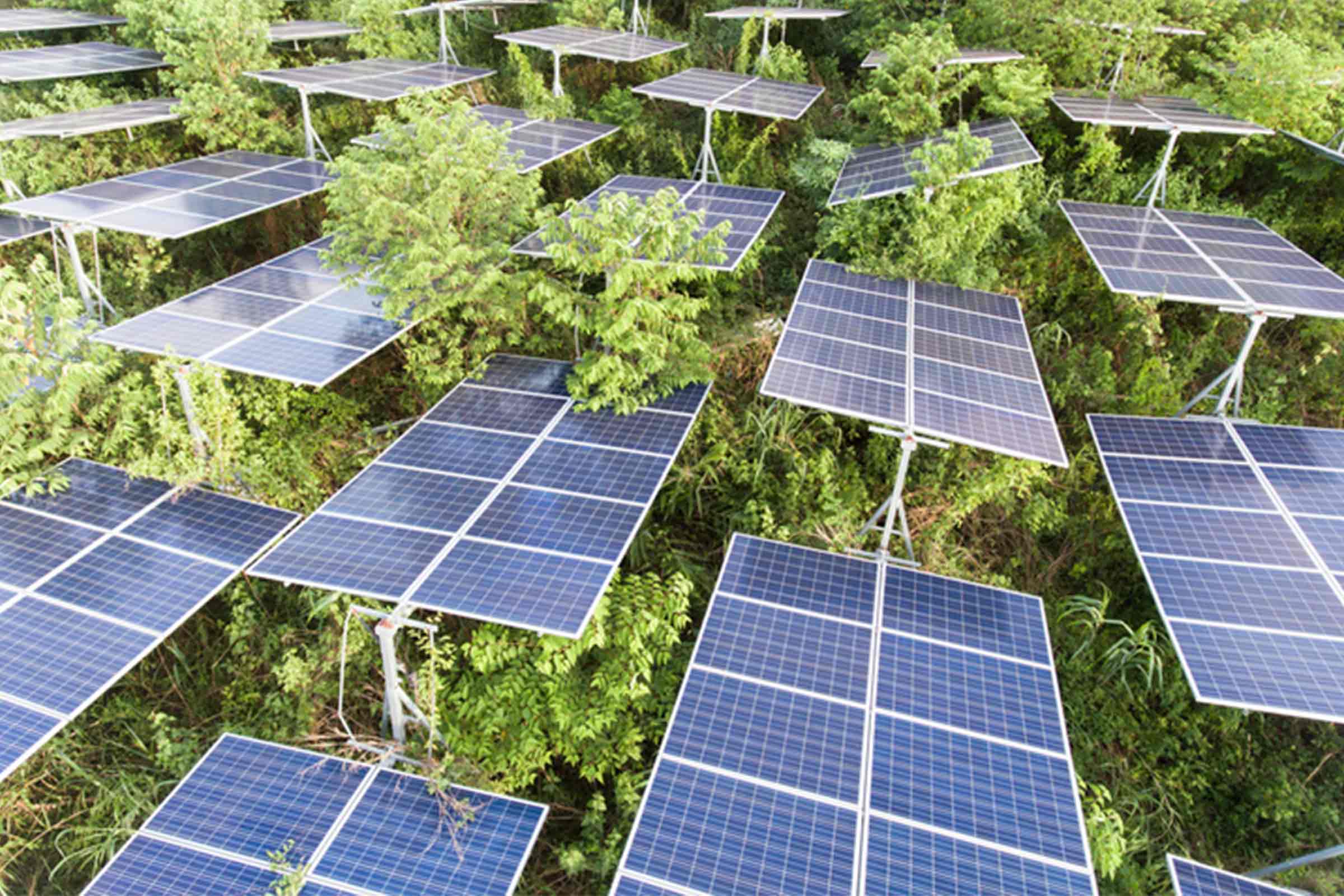 Image of solar panels in a photovoltaic plant.