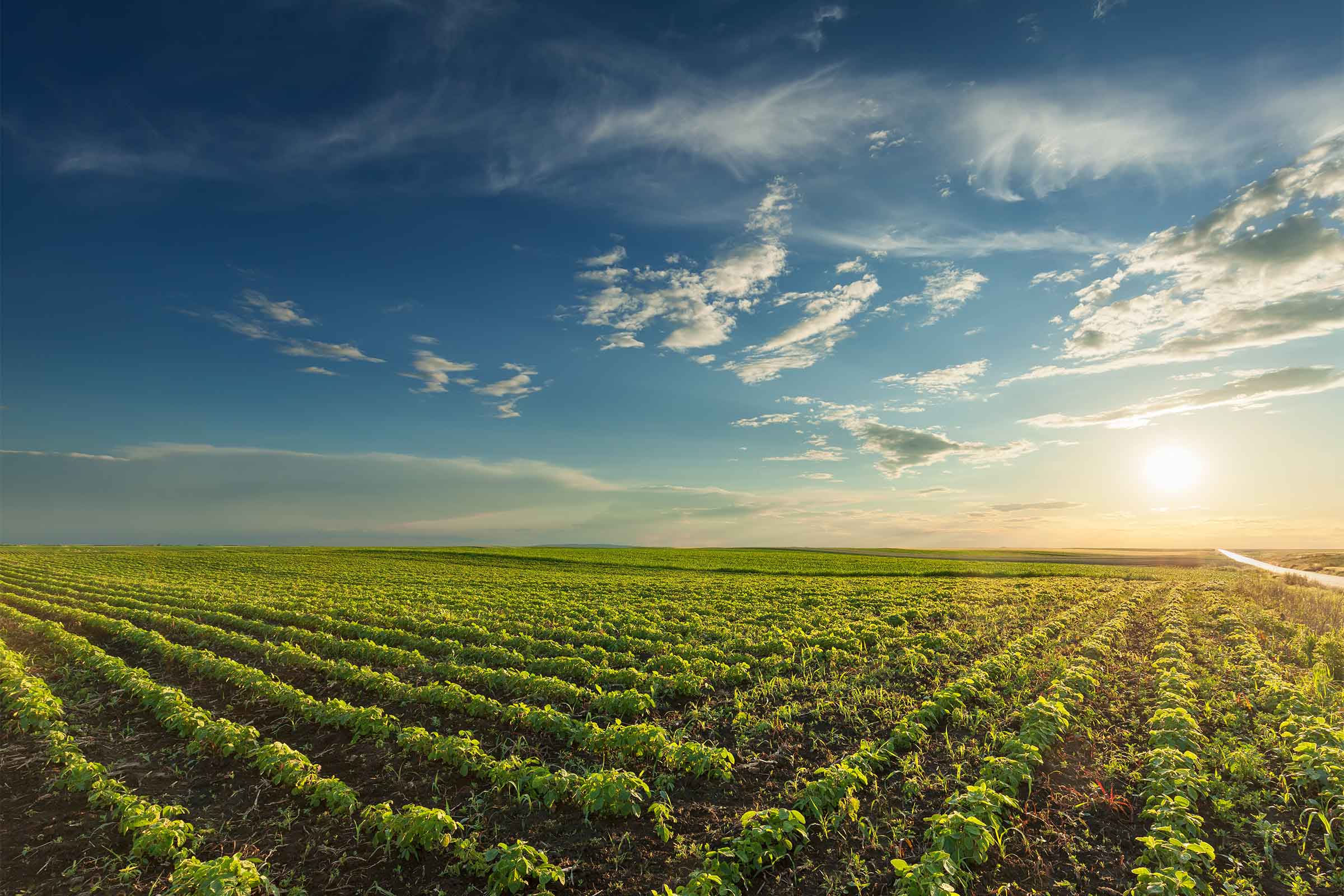 agricultura ecológica