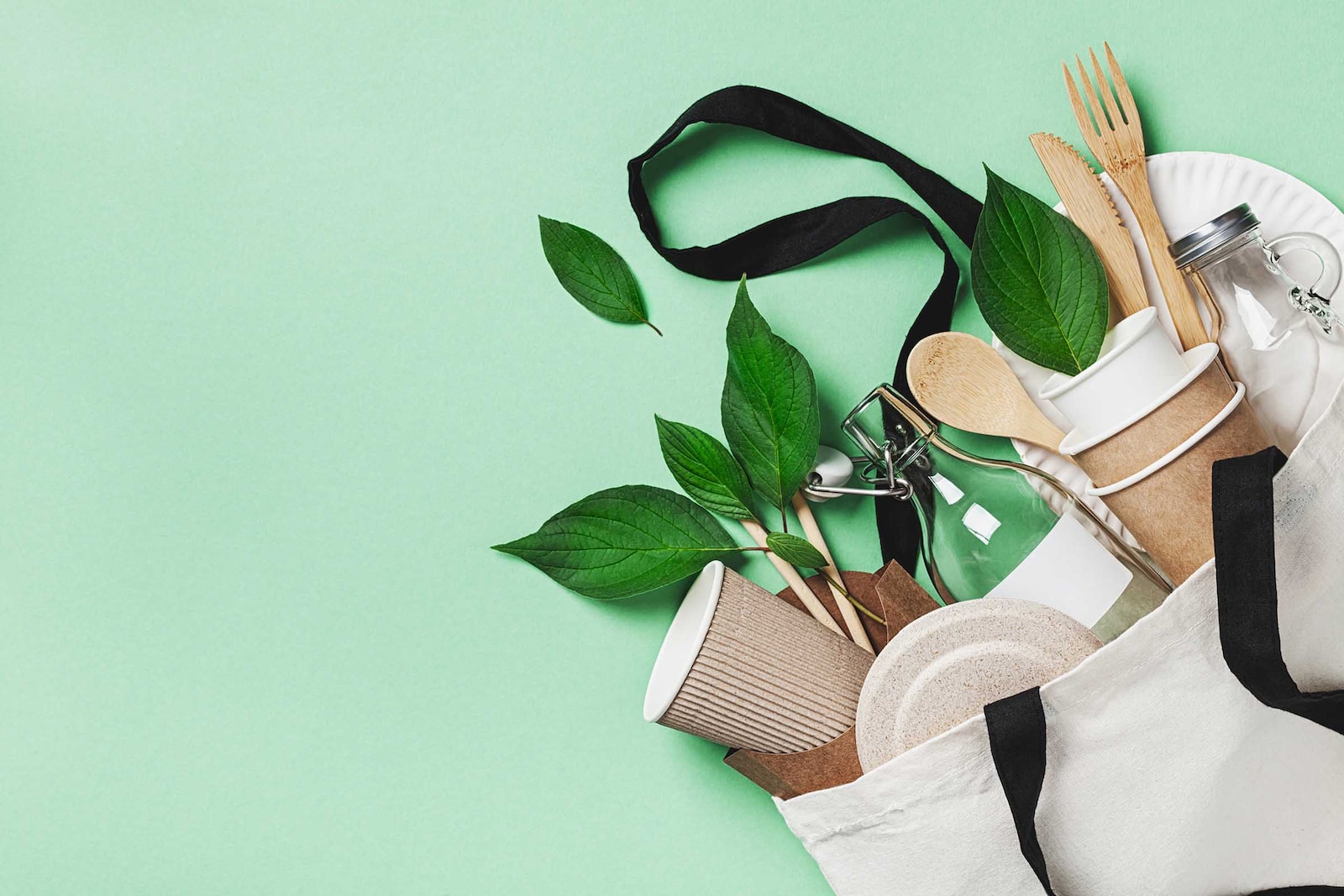 bolsa biodegradable