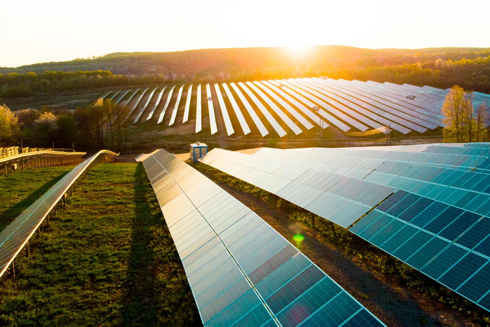 Pradaría con filas de paneis solares