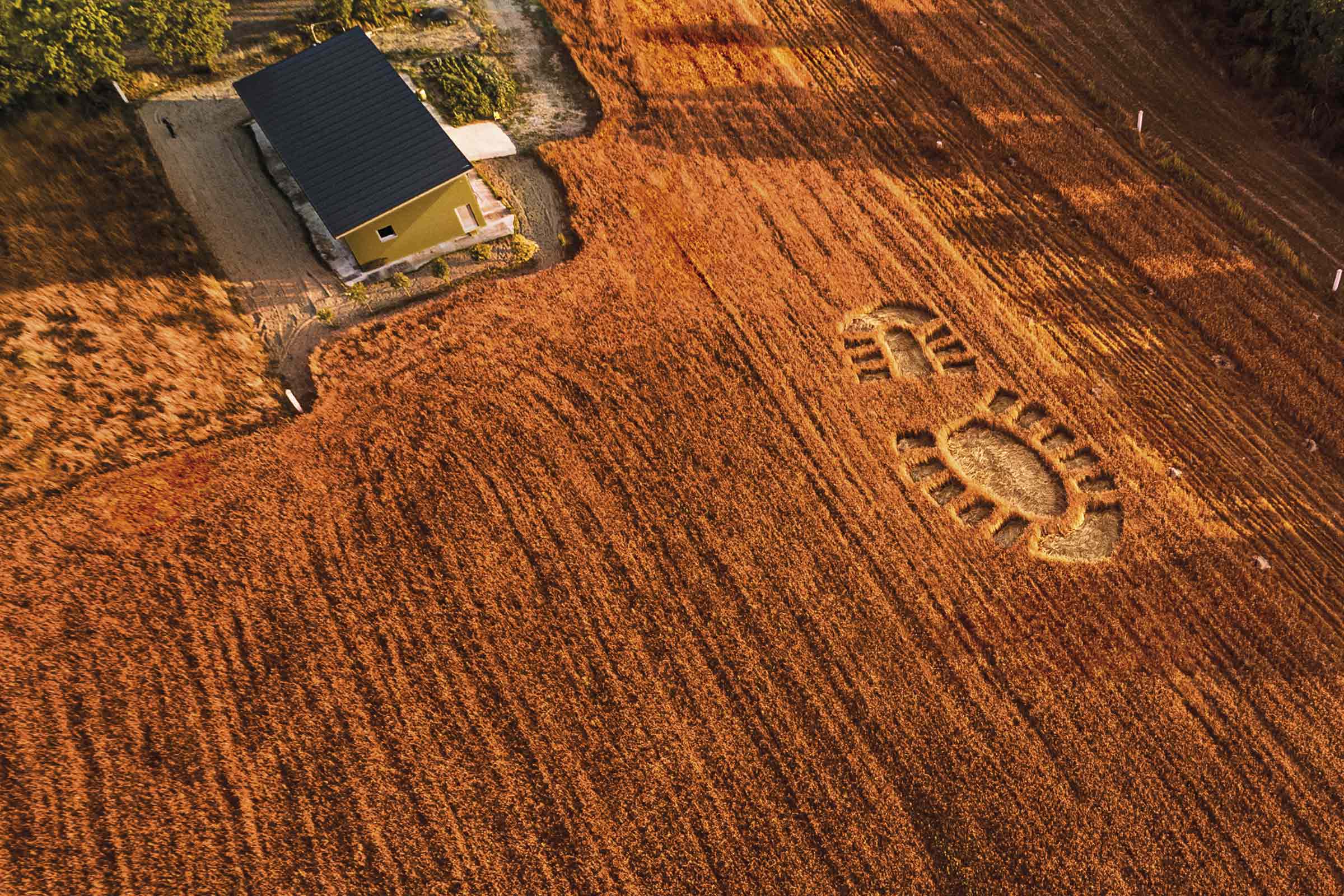 Imaxe dun campo de cultivo cunha pegada