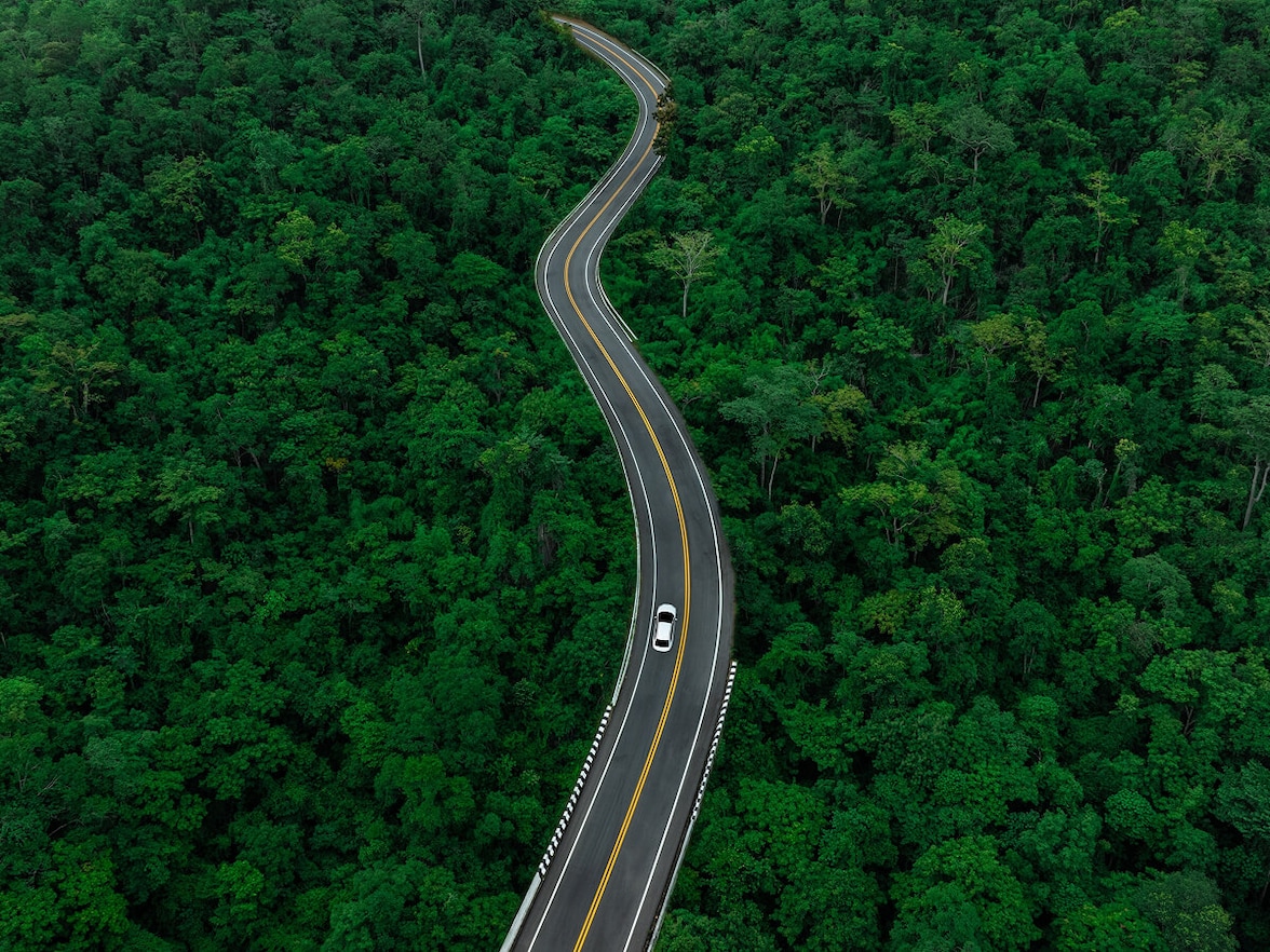 móstrase a toma dunha estrada que atravesa por varias árbores  